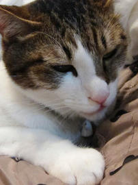 IMG03719.jpg