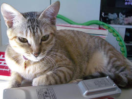IMGP8081.jpg
