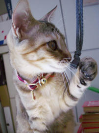 IMGP8097.jpg