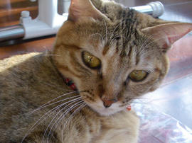 IMGP12474.jpg