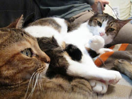 IMG03737.jpg