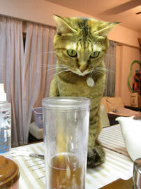 IMG03743.jpg