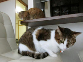 IMG03746.jpg