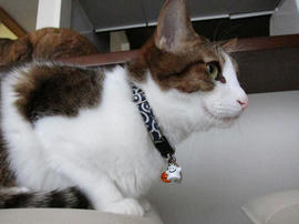 IMG03747.jpg