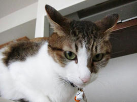 IMG03748.jpg