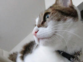 IMG03749.jpg