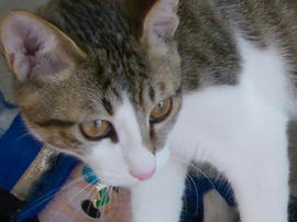 IMGP8154.jpg