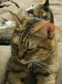 IMG00213.jpg