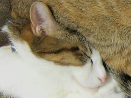 IMG00218.jpg