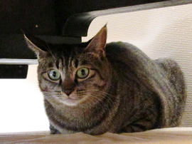 IMG03751.jpg