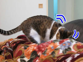 IMG03765.jpg