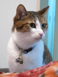 IMG03767.jpg