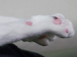 IMGP8195.jpg