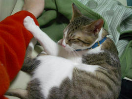 IMGP8205.jpg