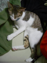 IMGP8211.jpg