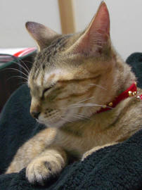 IMGP8215.jpg