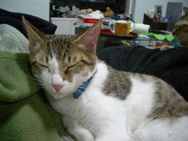 IMGP8216.jpg