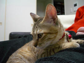 IMGP8222.jpg
