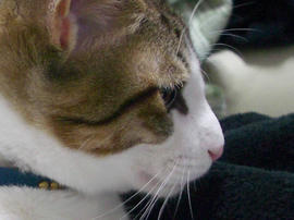 IMGP8228.jpg