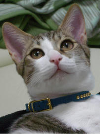 IMGP8234.jpg