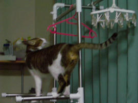IMGP12497.jpg