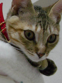 IMGP8266.jpg