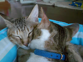 IMGP8281.jpg