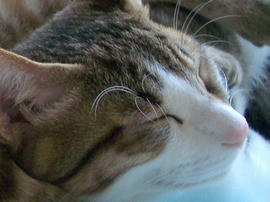 IMGP8283.jpg