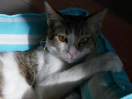 IMGP8287.jpg