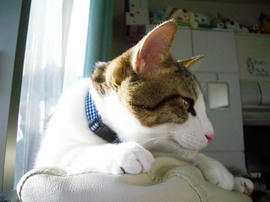 IMGP12516.jpg