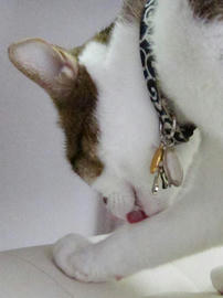 IMG00237.jpg