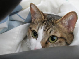 IMG03783.jpg
