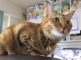 IMG03784.jpg