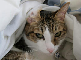 IMG03787.jpg