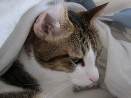 IMG03788.jpg
