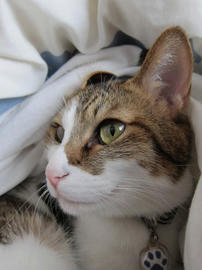 IMG03789.jpg