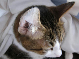 IMG03790.jpg