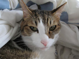 IMG03791.jpg