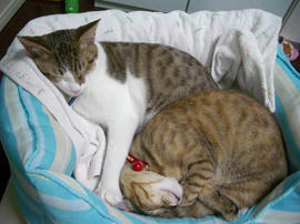 IMGP8380.jpg