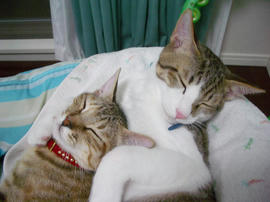 IMGP8383.jpg