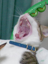 IMGP8381_2.jpg