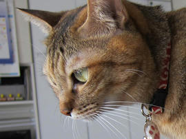 IMG03795.jpg