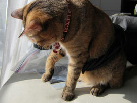 IMG03798.jpg