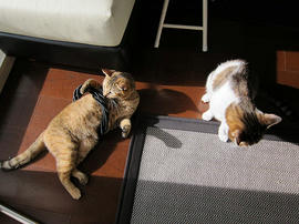 IMG03799.jpg