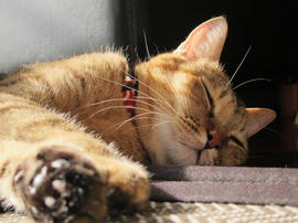 IMG03802.jpg