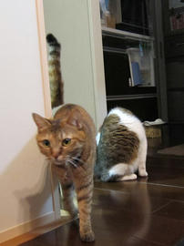 IMG03808.jpg