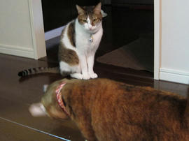 IMG03809.jpg