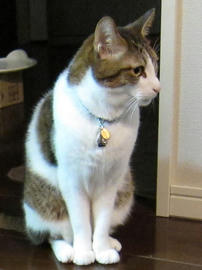 IMG03812.jpg