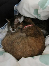 IMG03817.jpg