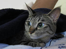 IMG03819.jpg